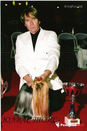 SHANGAI EXPRESS DU DOMAINE DE MONDERLAY &mdash; Labaza DogPedigree YorkshireTerrier