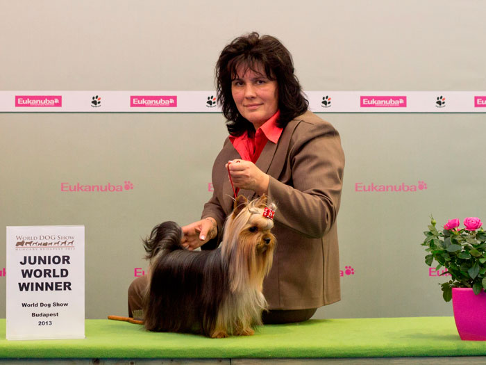 Emma`s Caprice &mdash; Labaza DogPedigree YorkshireTerrier