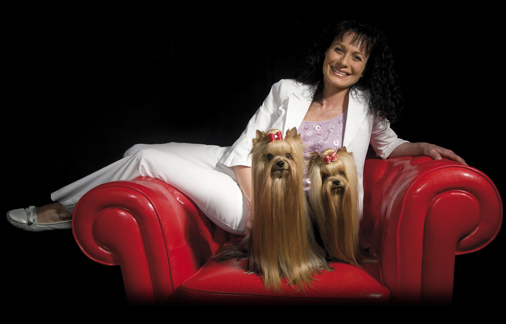 Emma`s Caprice &mdash; Labaza DogPedigree YorkshireTerrier
