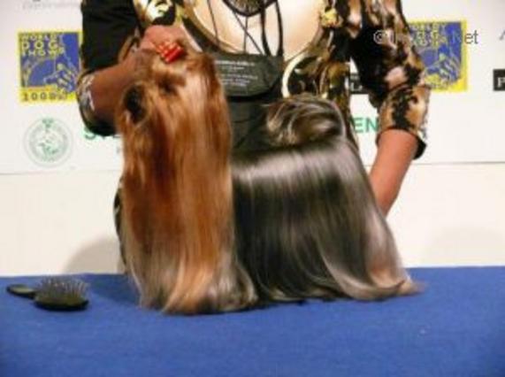 RIGAIR CAPRISSE