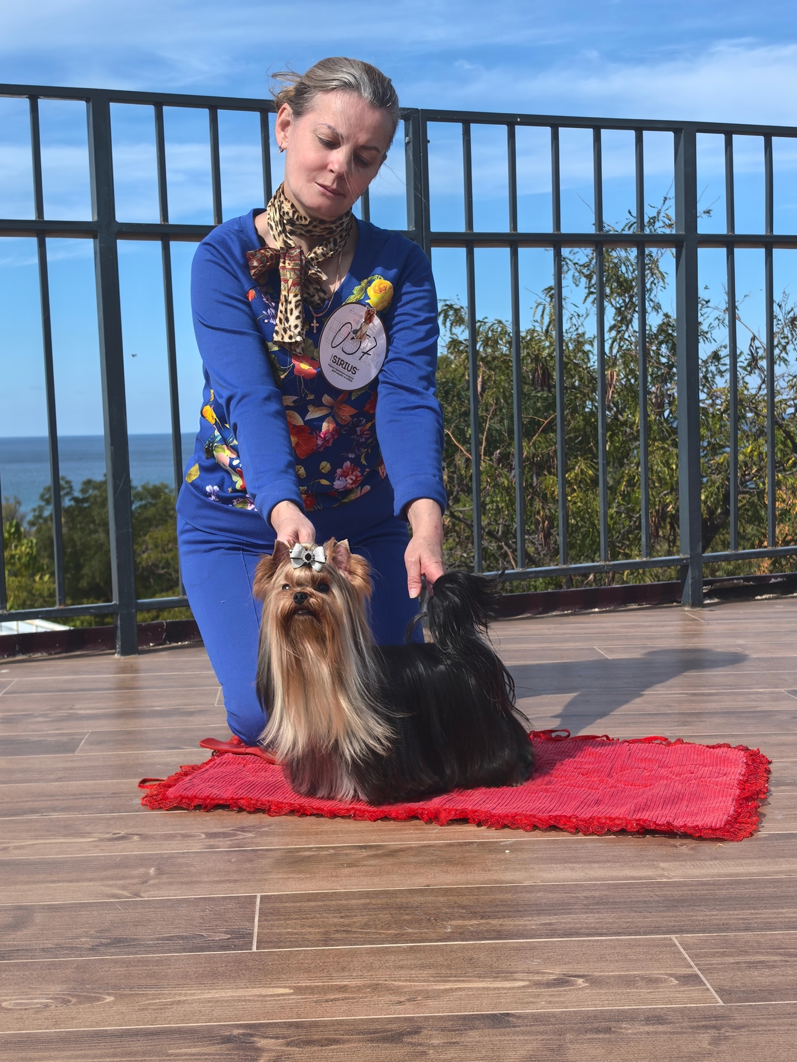 Emma`s Caprice OVER FLOWERS EMMA'S CAPRICE &mdash; Labaza DogPedigree YorkshireTerrier