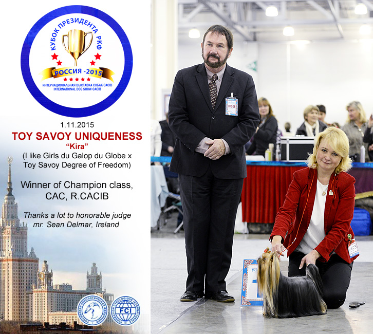 TOY SAVOY UNIQUENESS &mdash; Labaza DogPedigree YorkshireTerrier