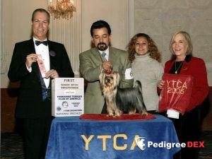  GUEMART'S MAGIC SKY &mdash; Labaza DogPedigree YorkshireTerrier