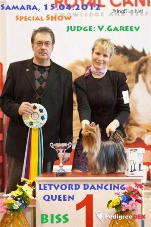 LETVORD DANCING QUEEN &mdash; Labaza DogPedigree YorkshireTerrier