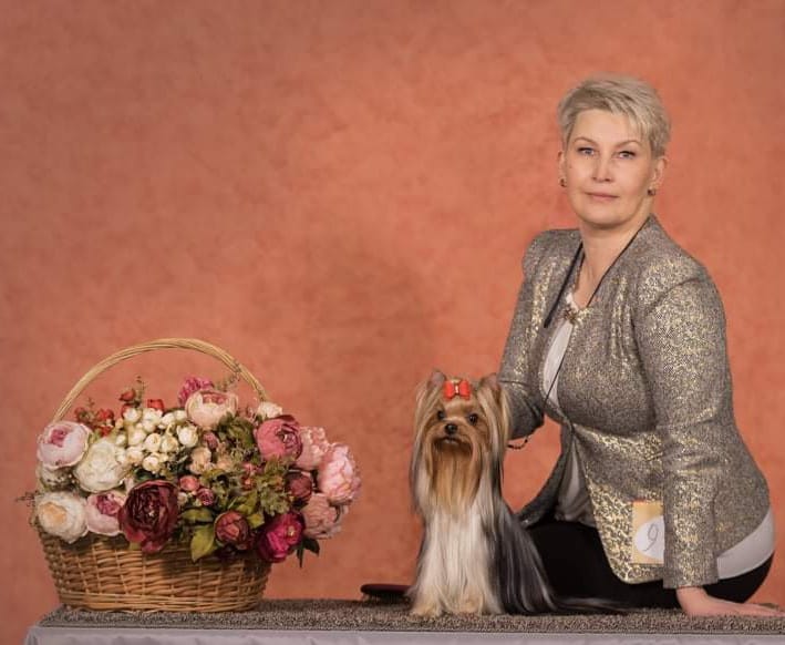 Laranta LARANTA KORRIDA &mdash; Labaza DogPedigree YorkshireTerrier