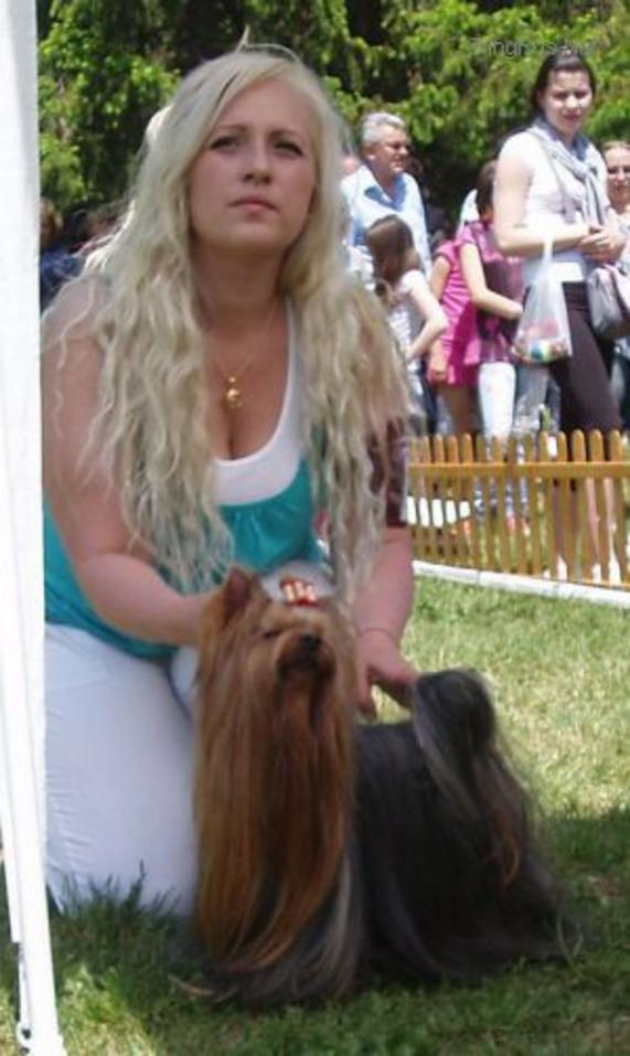  ANASTASIA YORK CHRISTIAN LAKROAS &mdash; Labaza DogPedigree YorkshireTerrier