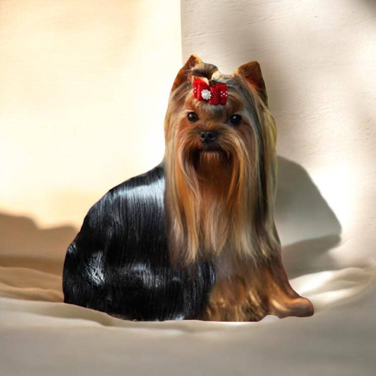 Favorit Dog Safari