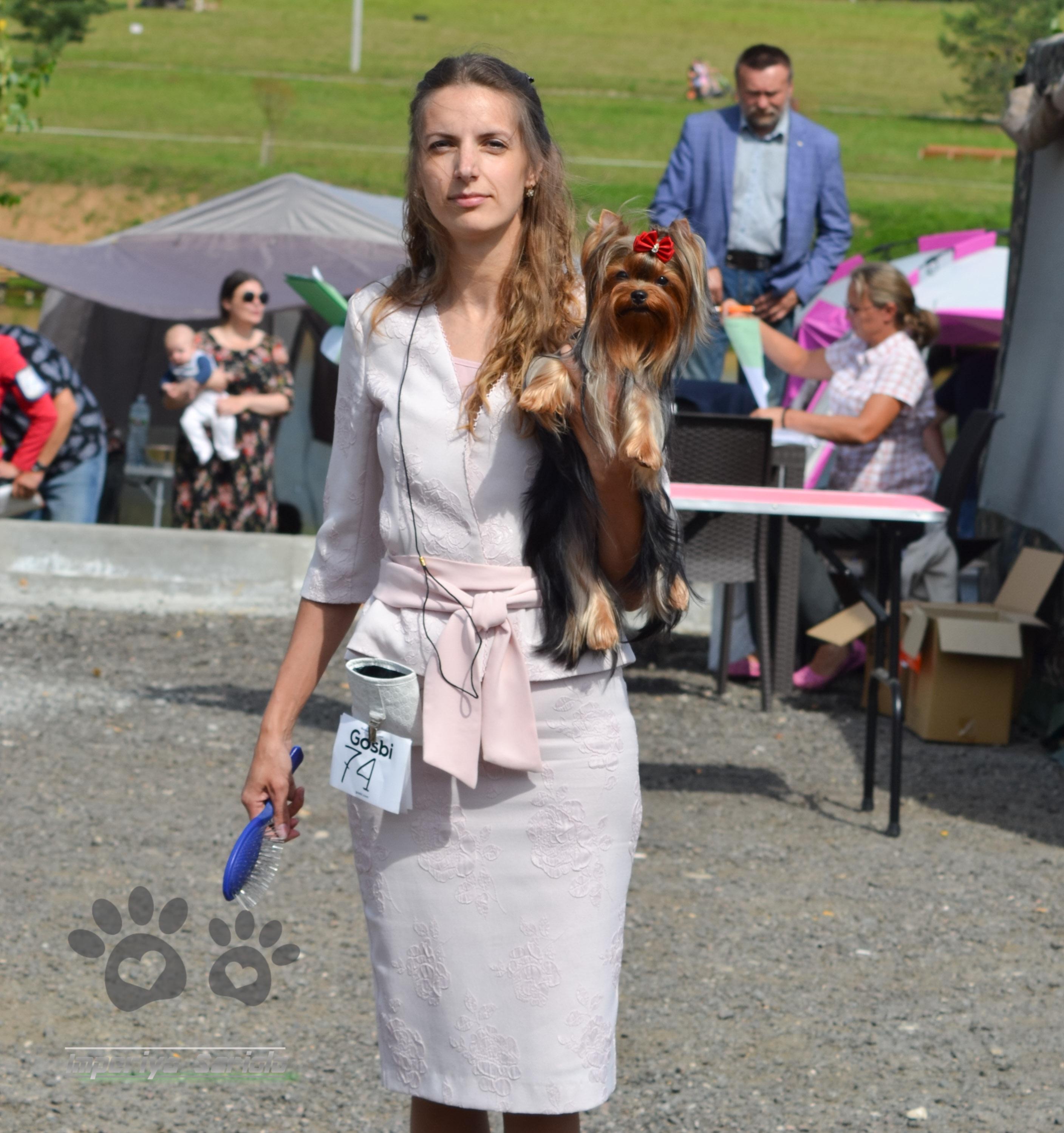 SARIOLO REVDA LA MIA ANIMA FOR IMPERIYA SARIOLO &mdash; Labaza DogPedigree YorkshireTerrier