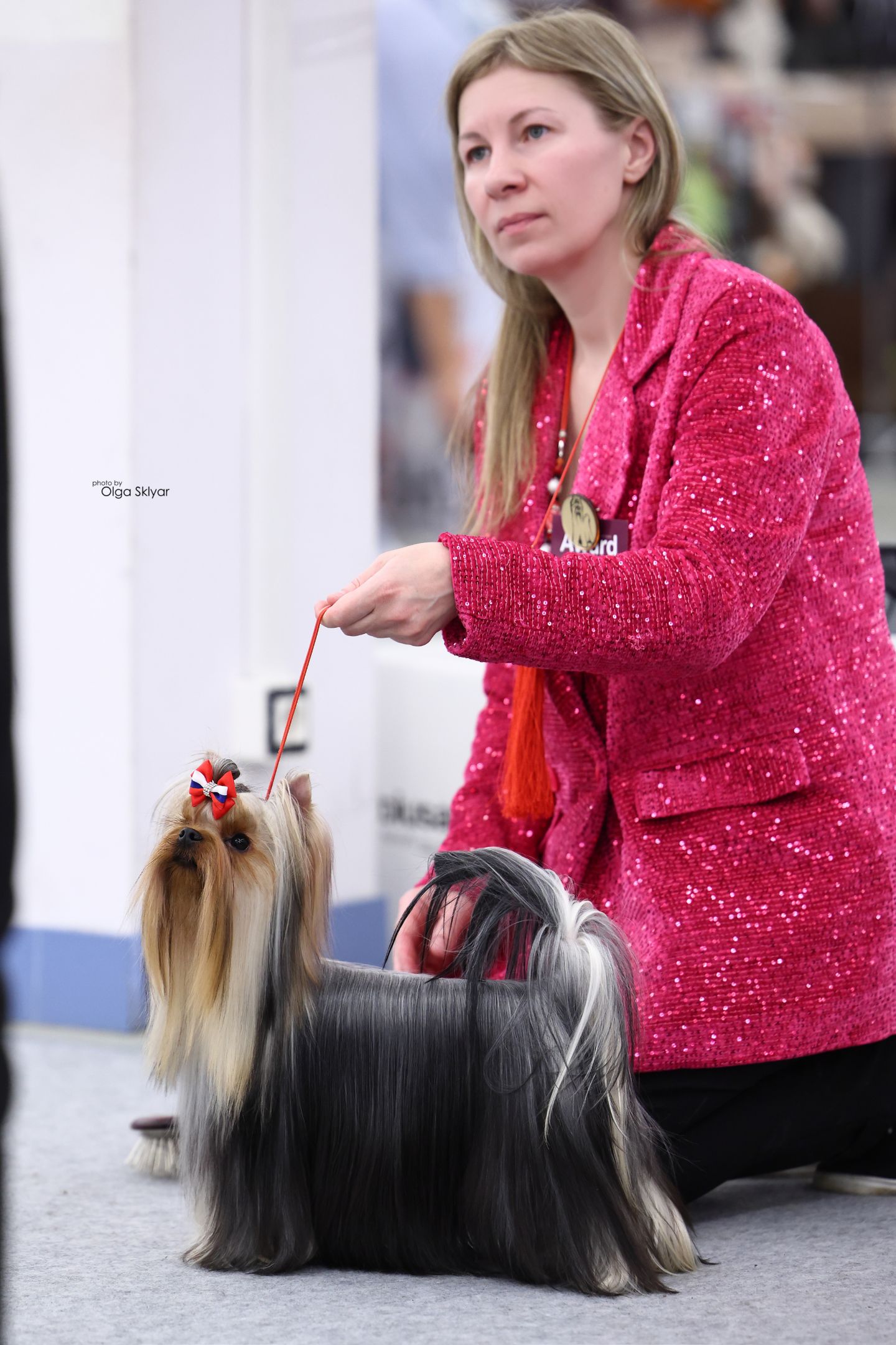 As'Torria Life IRESK'S TSELESTINA VALEY OF ROUZ &mdash; Labaza DogPedigree YorkshireTerrier