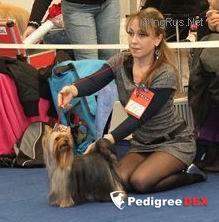 VALTEN HOUND EVRA