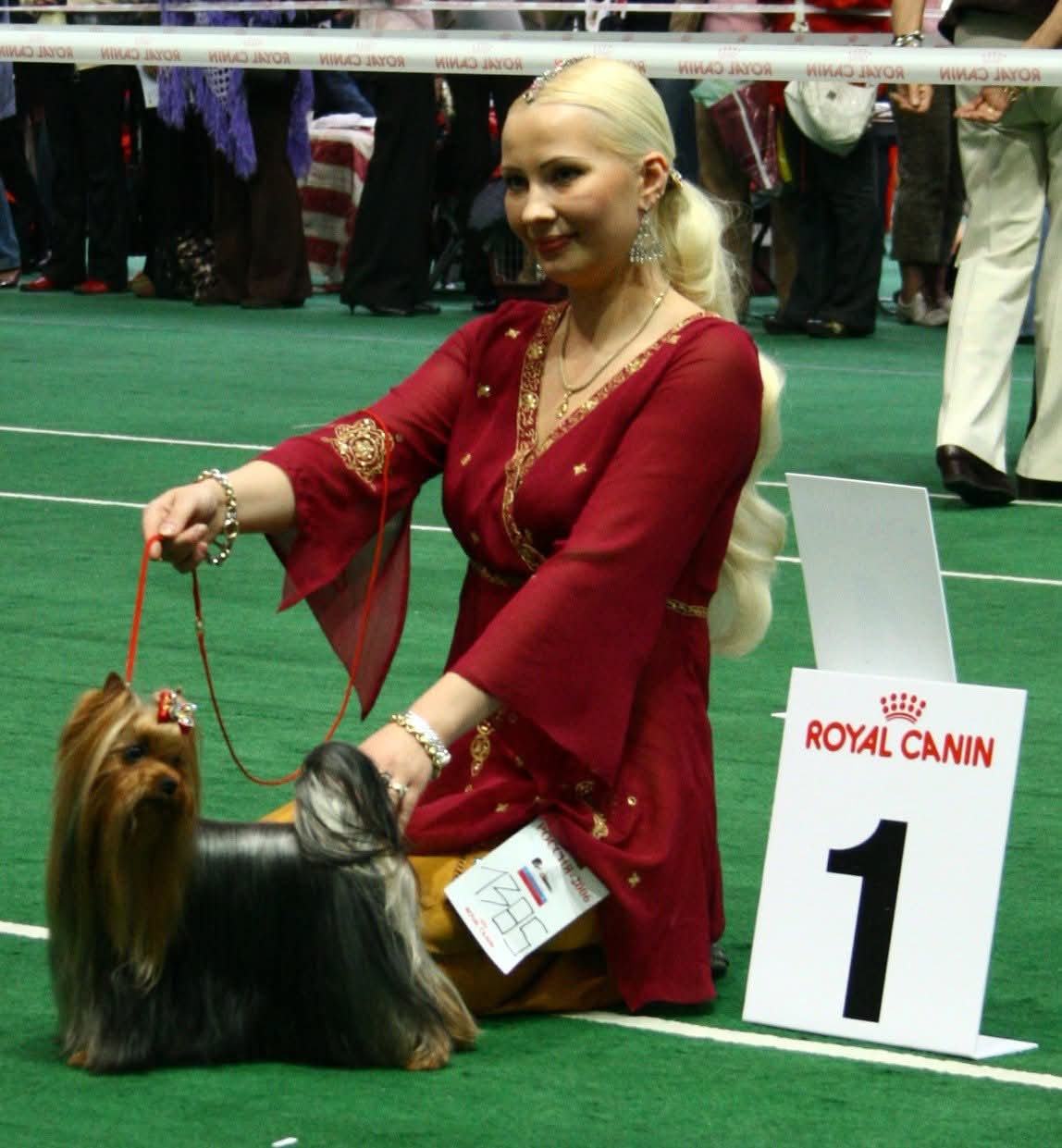  GLAMOURE COUNTURE BESAME MUCHO &mdash; Labaza DogPedigree YorkshireTerrier