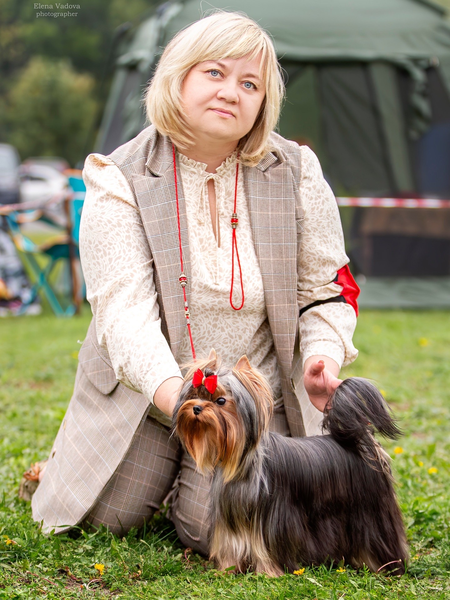  INTRIGA FAVOURITE WINNERS &mdash; Labaza DogPedigree YorkshireTerrier